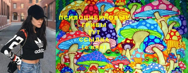 синтетический гашиш Алексин