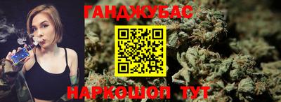сатива Малгобек