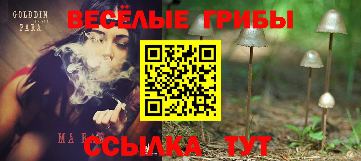 Псилоцибиновые грибы Cubensis  Галлюциногенные грибы Psilocybine cubensis  Вход с VPN  купить наркоту  Карасук 